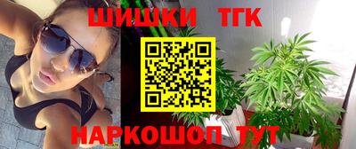 альфа пвп Новодвинск