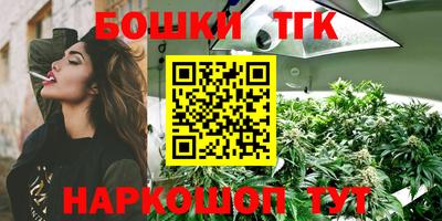 стаф Новокубанск
