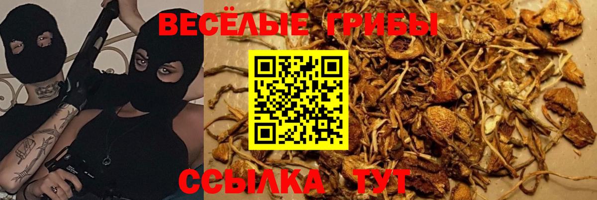 Псилоцибиновые грибы Magic Shrooms  Вход с VPN  Тында 